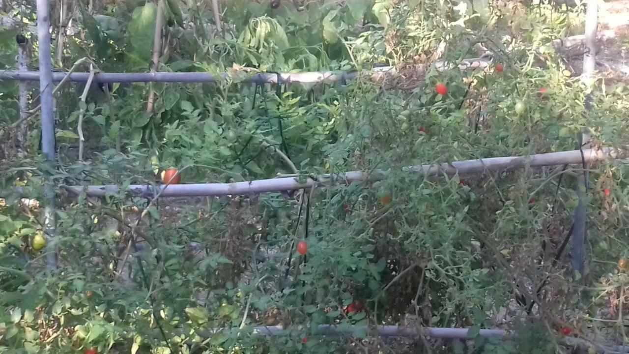 To Spiti Tou Papa Sto Vouno Vendégház Kamilári Kültér fotó